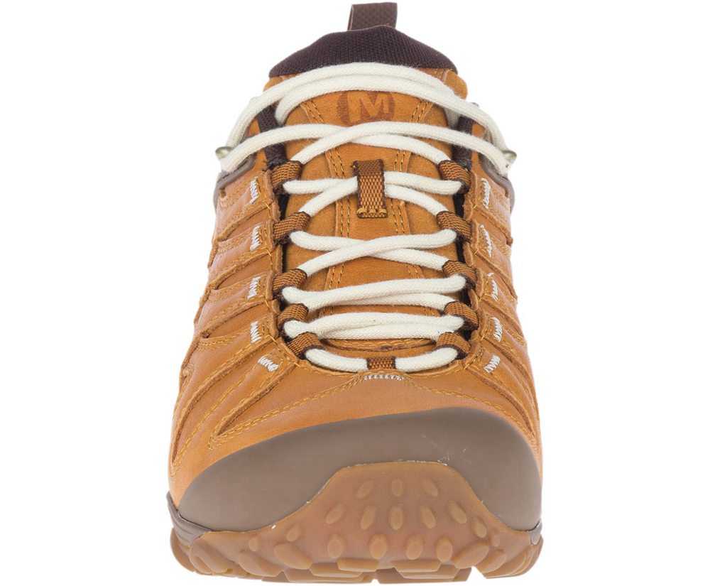 Tenis Homem - Merrell Cham 7 Slam Luna Couro - Marrom - HQO830175
